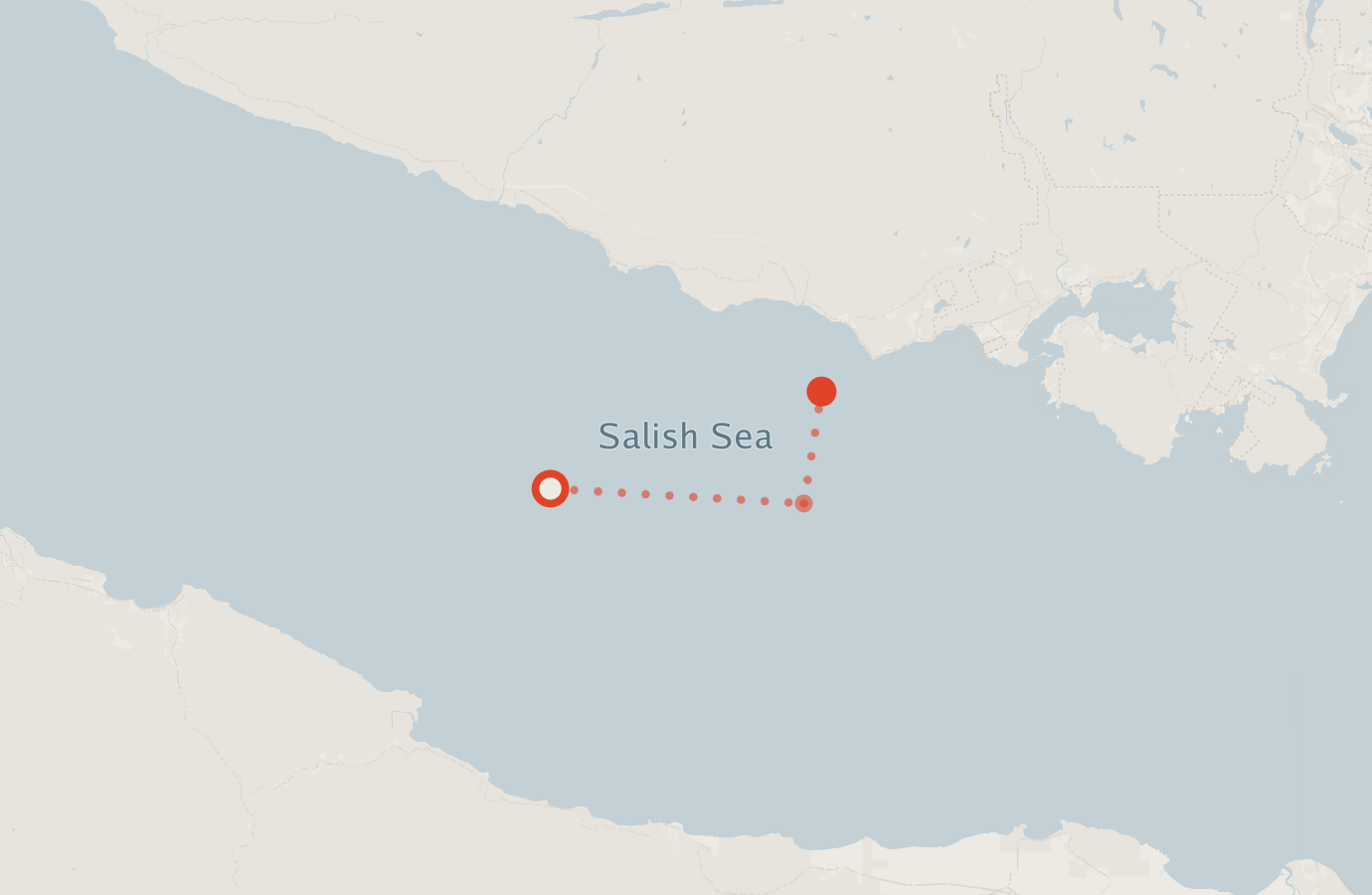 Activity map — real sighting points on an OpenStreetMap basemap