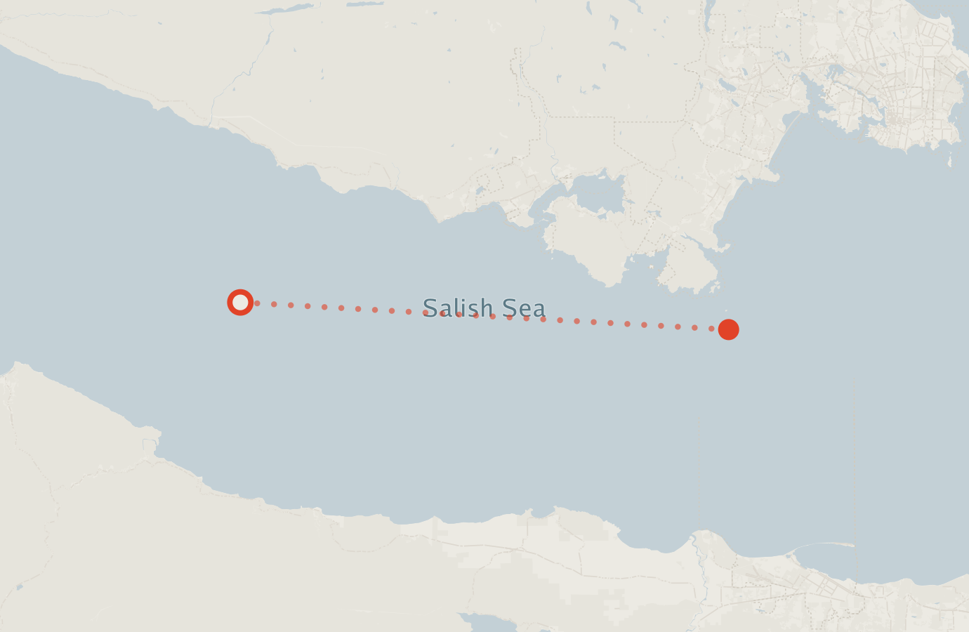 Activity map — real sighting points on an OpenStreetMap basemap