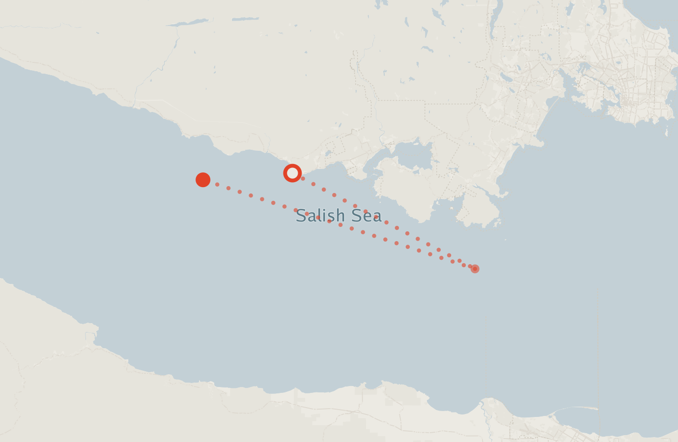 Activity map — real sighting points on an OpenStreetMap basemap