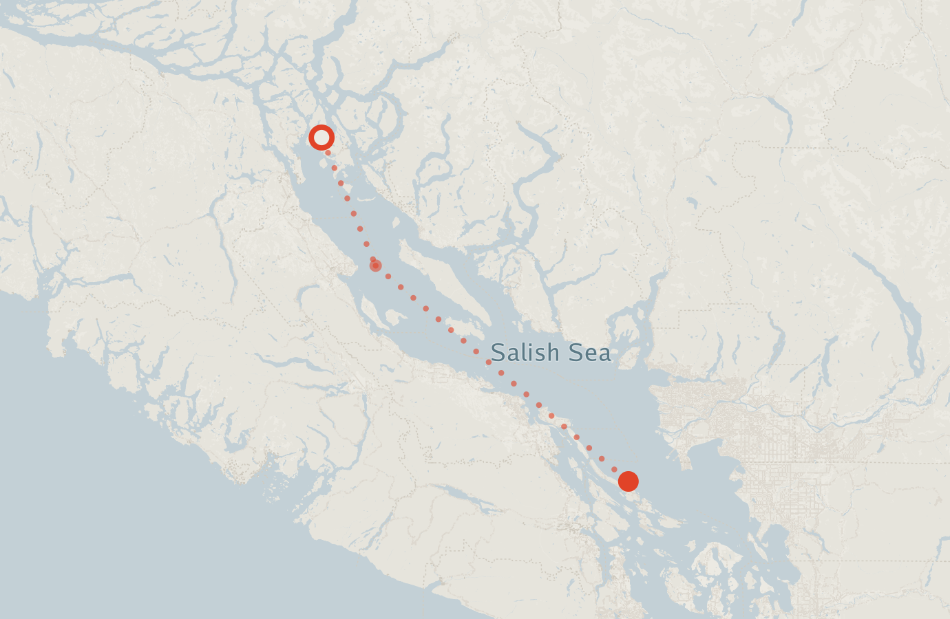 Activity map — real sighting points on an OpenStreetMap basemap