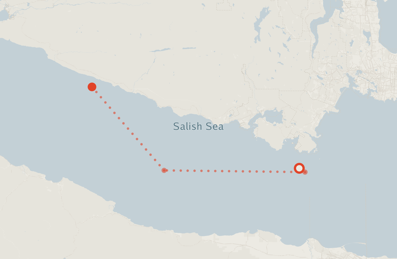 Activity map — real sighting points on an OpenStreetMap basemap