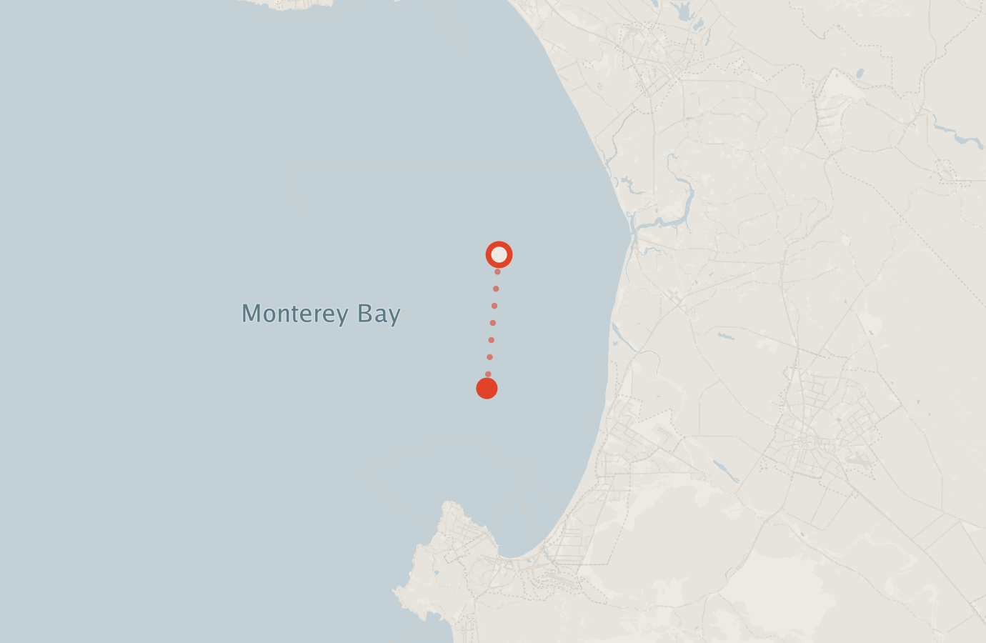 Activity map — real sighting points on an OpenStreetMap basemap