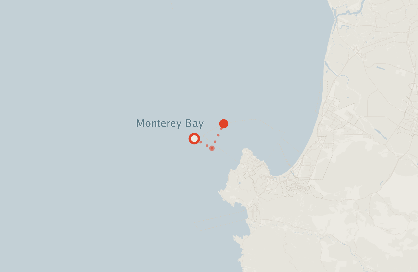 Activity map — real sighting points on an OpenStreetMap basemap