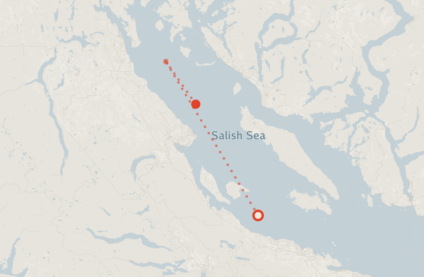 Activity map — real sighting points on an OpenStreetMap basemap