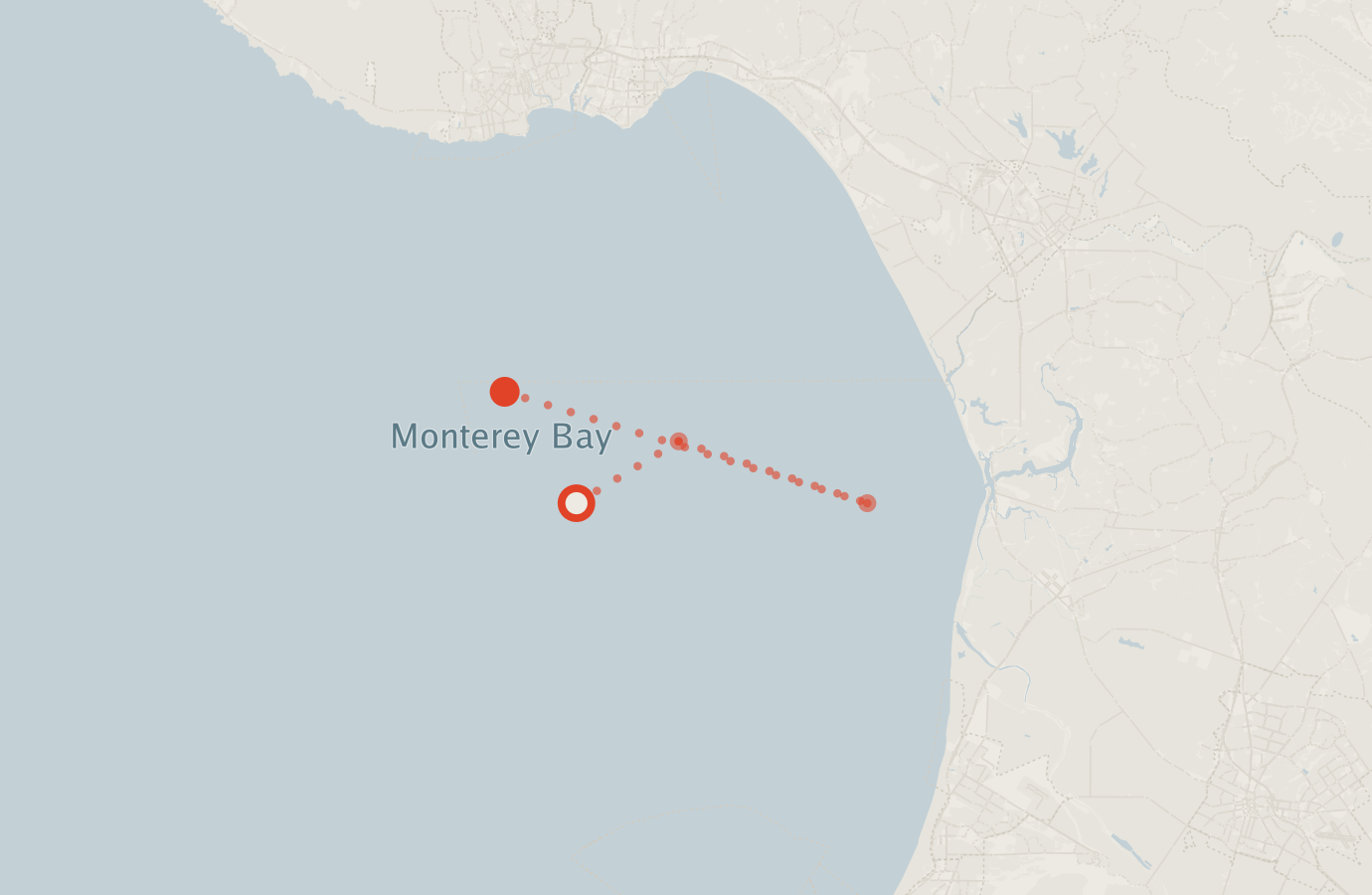Activity map — real sighting points on an OpenStreetMap basemap
