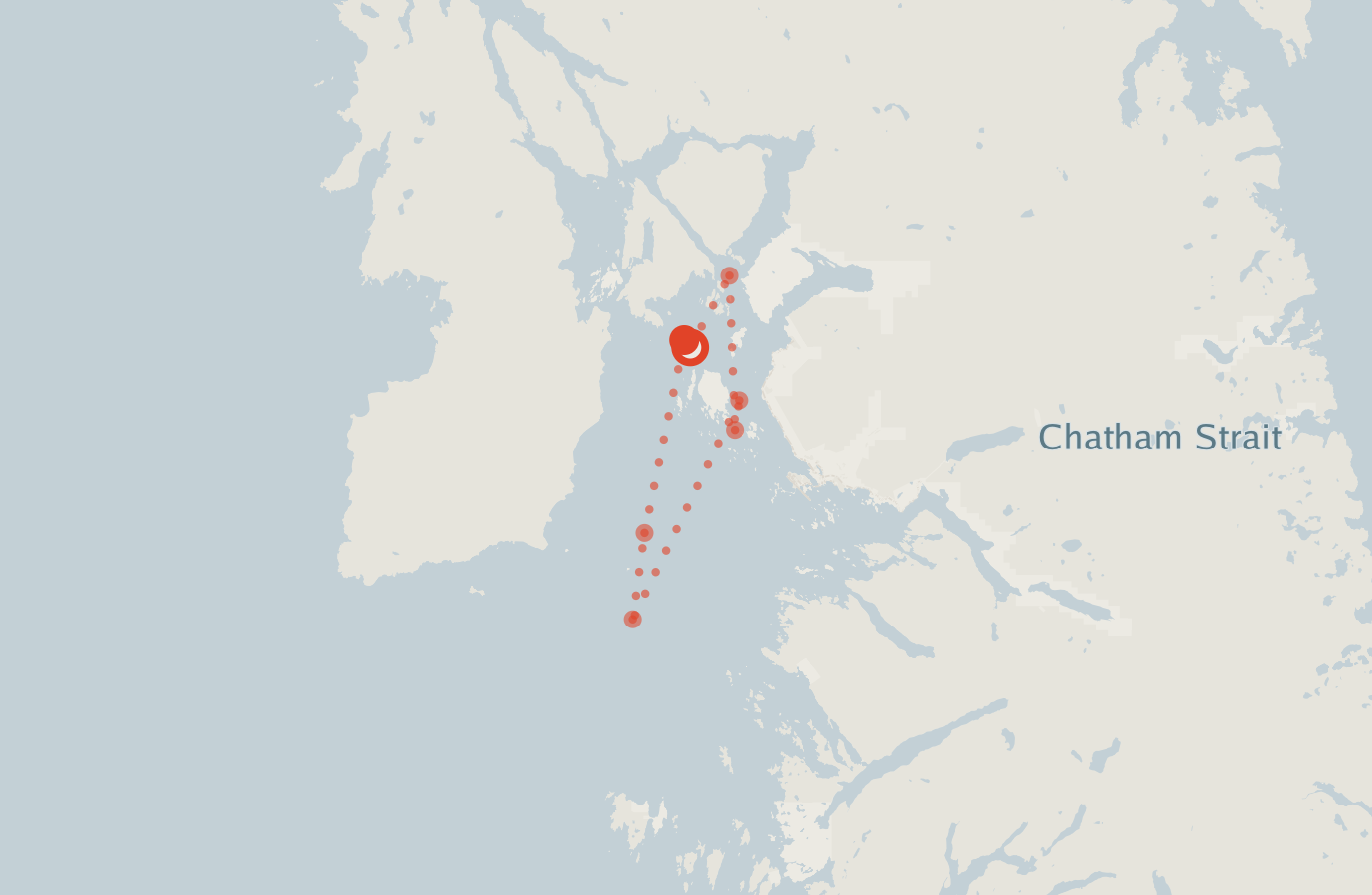 Activity map — real sighting points on an OpenStreetMap basemap