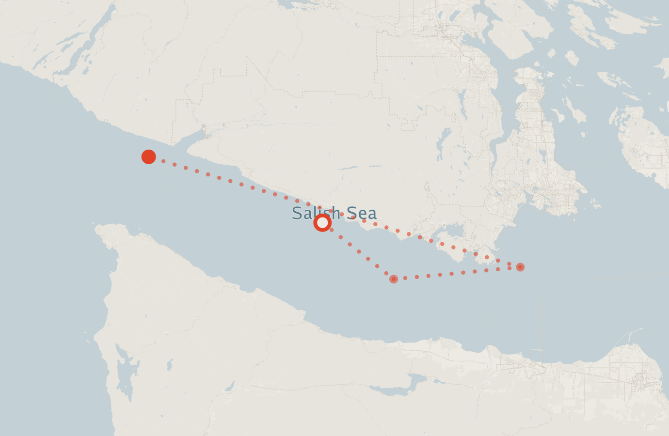 Activity map — real sighting points on an OpenStreetMap basemap