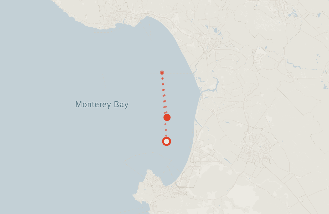 Activity map — real sighting points on an OpenStreetMap basemap
