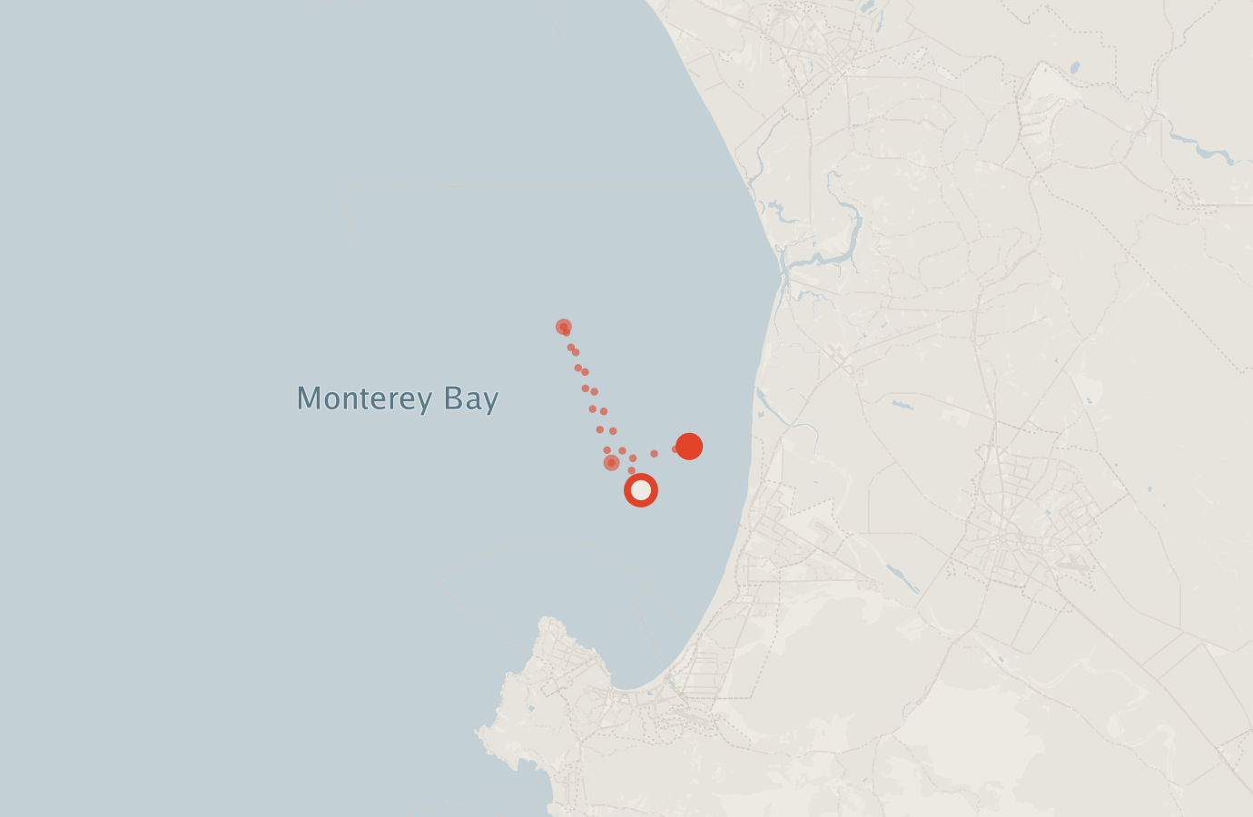 Activity map — real sighting points on an OpenStreetMap basemap