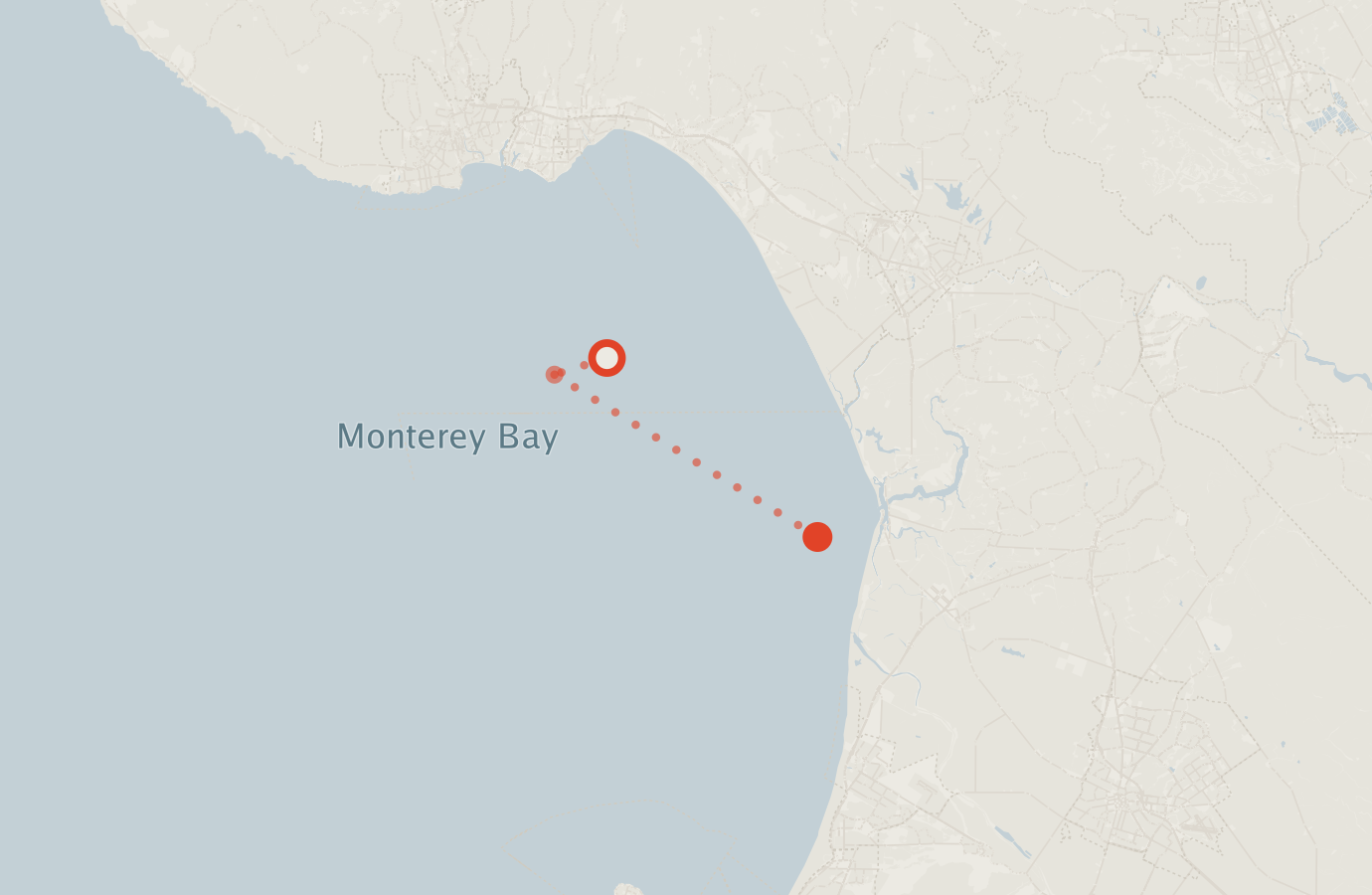 Activity map — real sighting points on an OpenStreetMap basemap