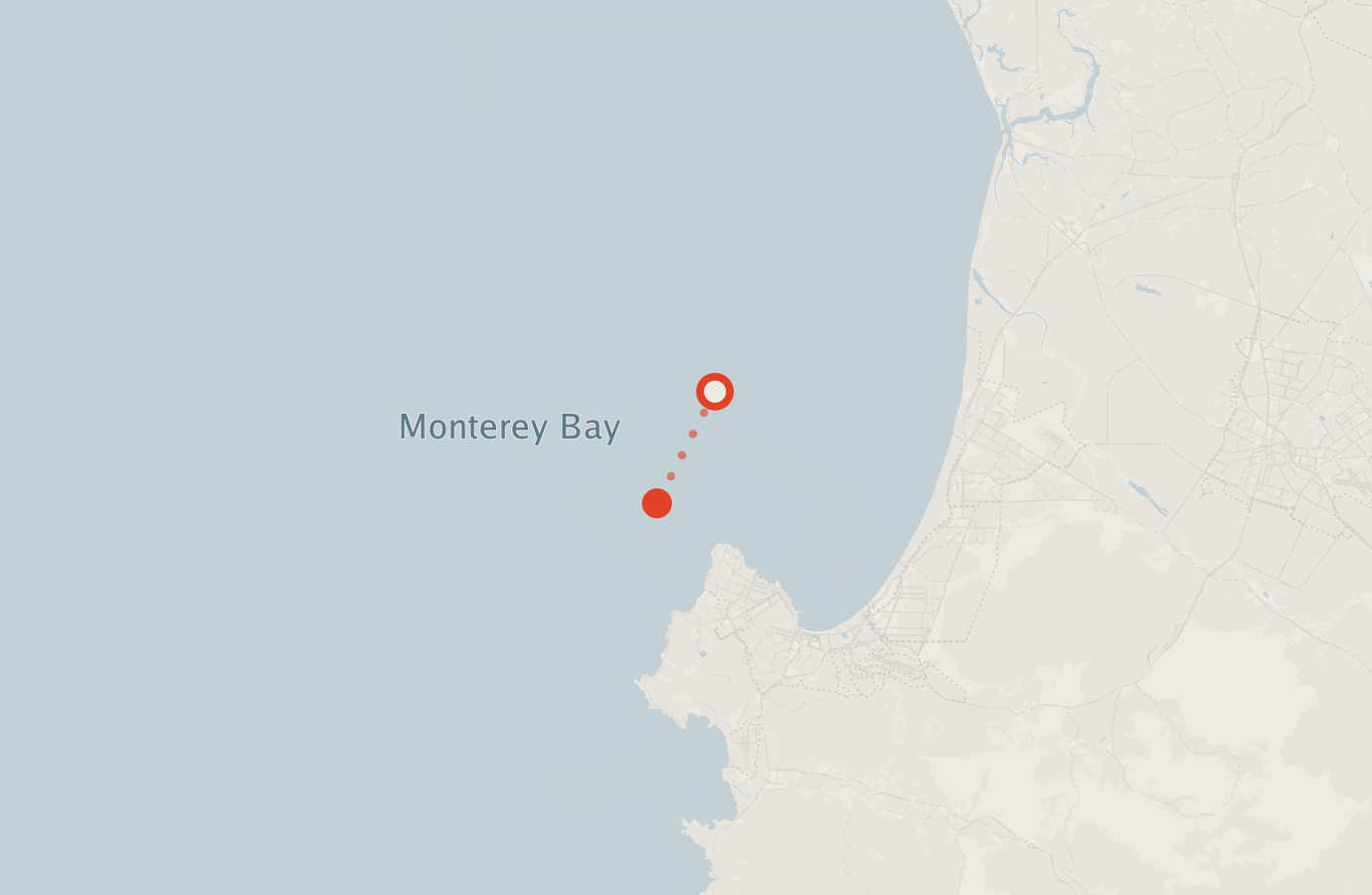 Activity map — real sighting points on an OpenStreetMap basemap