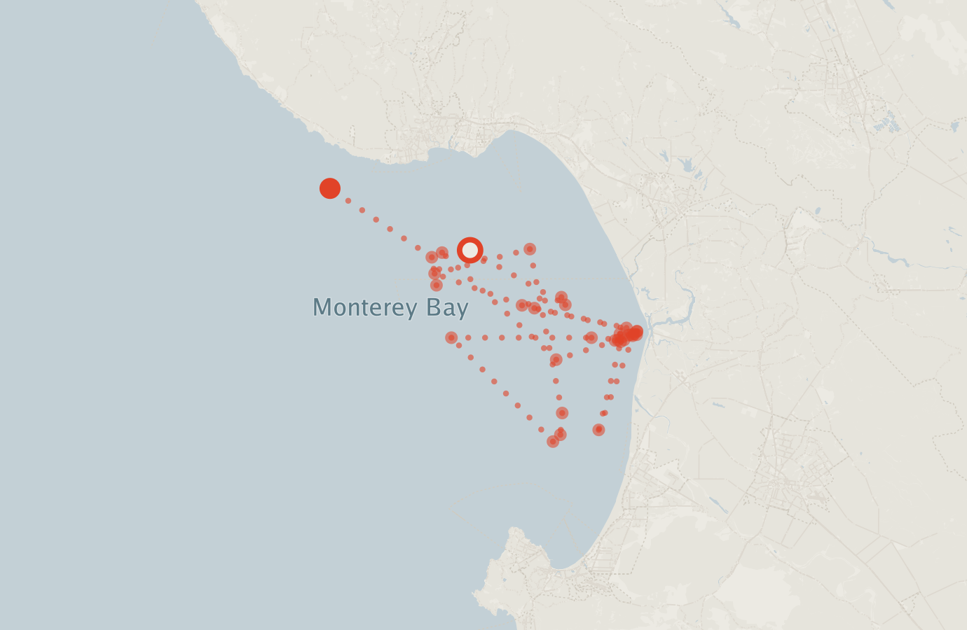 Activity map — real sighting points on an OpenStreetMap basemap