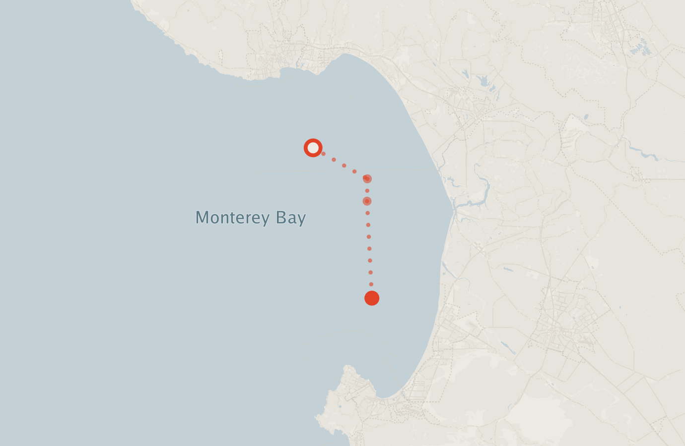 Activity map — real sighting points on an OpenStreetMap basemap