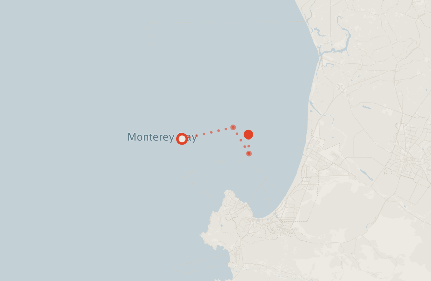 Activity map — real sighting points on an OpenStreetMap basemap