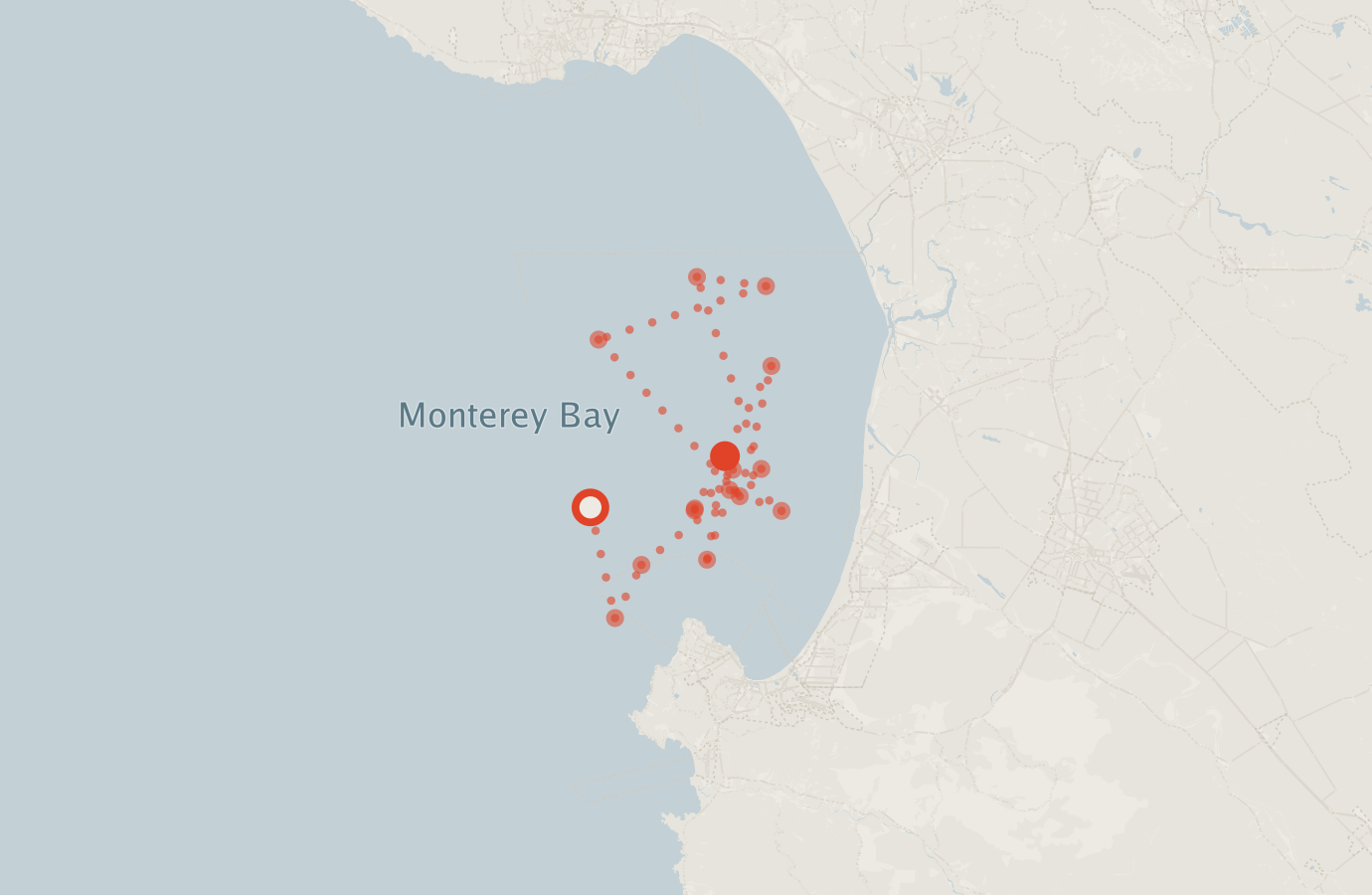 Activity map — real sighting points on an OpenStreetMap basemap