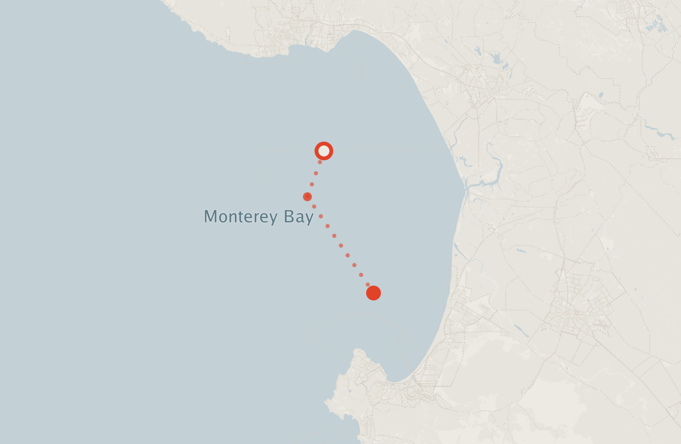 Activity map — real sighting points on an OpenStreetMap basemap