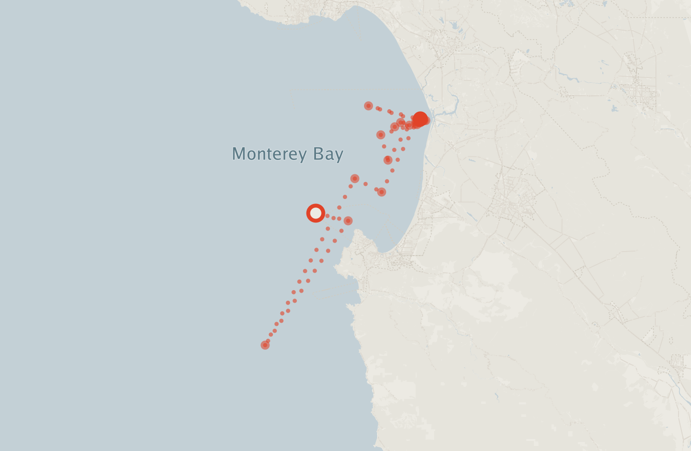 Activity map — real sighting points on an OpenStreetMap basemap