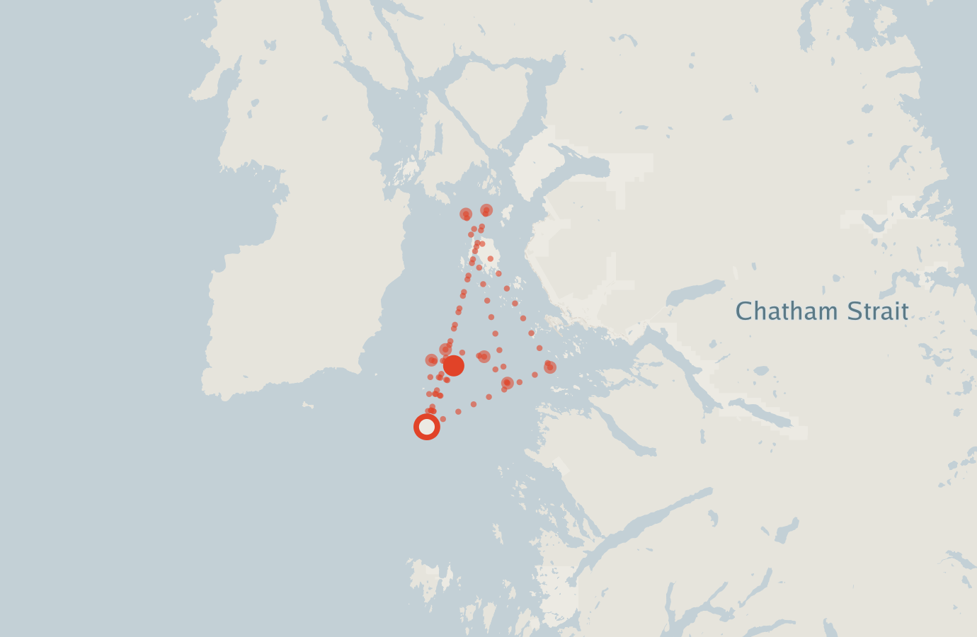 Activity map — real sighting points on an OpenStreetMap basemap