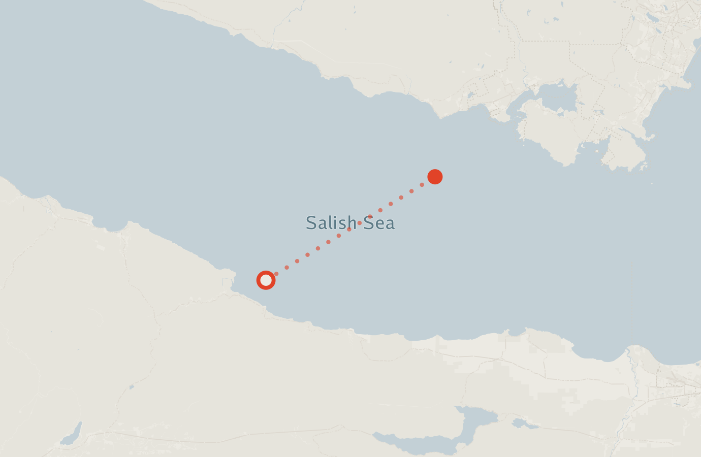 Activity map — real sighting points on an OpenStreetMap basemap