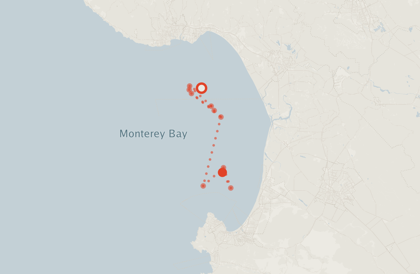 Activity map — real sighting points on an OpenStreetMap basemap