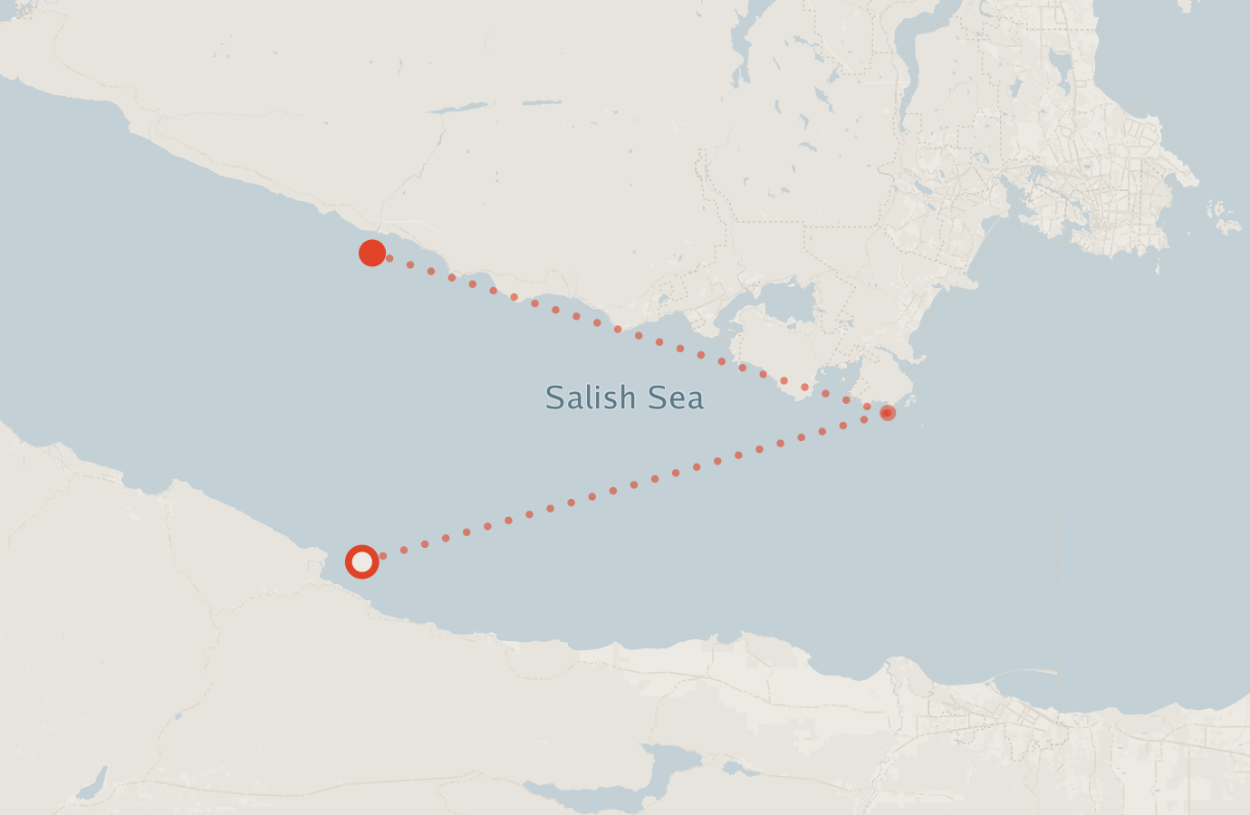 Activity map — real sighting points on an OpenStreetMap basemap