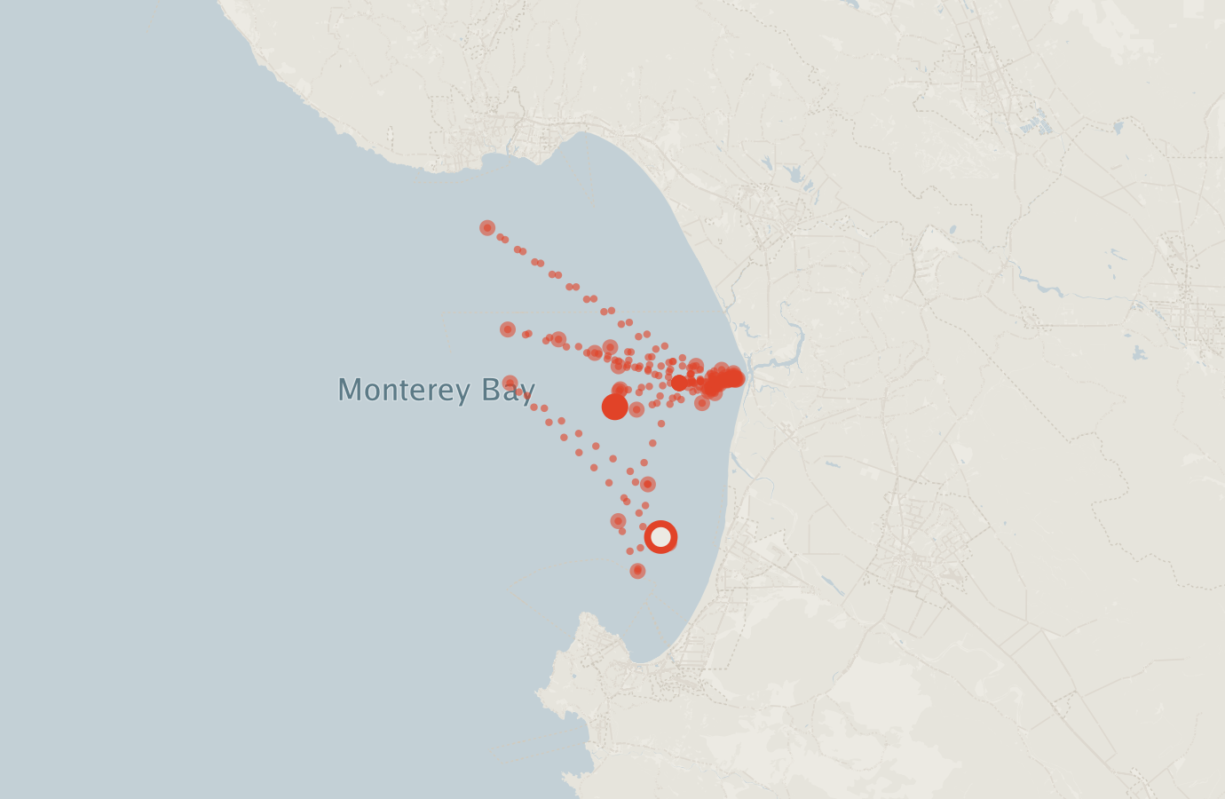 Activity map — real sighting points on an OpenStreetMap basemap