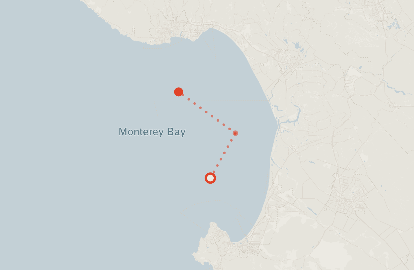 Activity map — real sighting points on an OpenStreetMap basemap