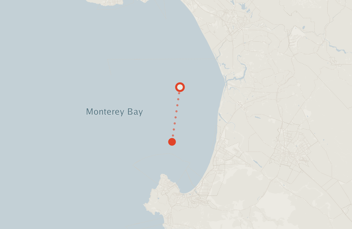 Activity map — real sighting points on an OpenStreetMap basemap