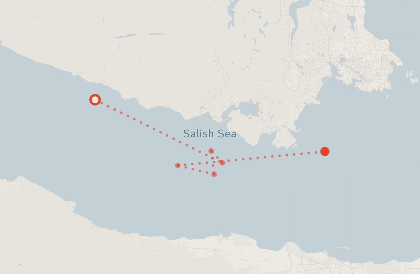 Activity map — real sighting points on an OpenStreetMap basemap