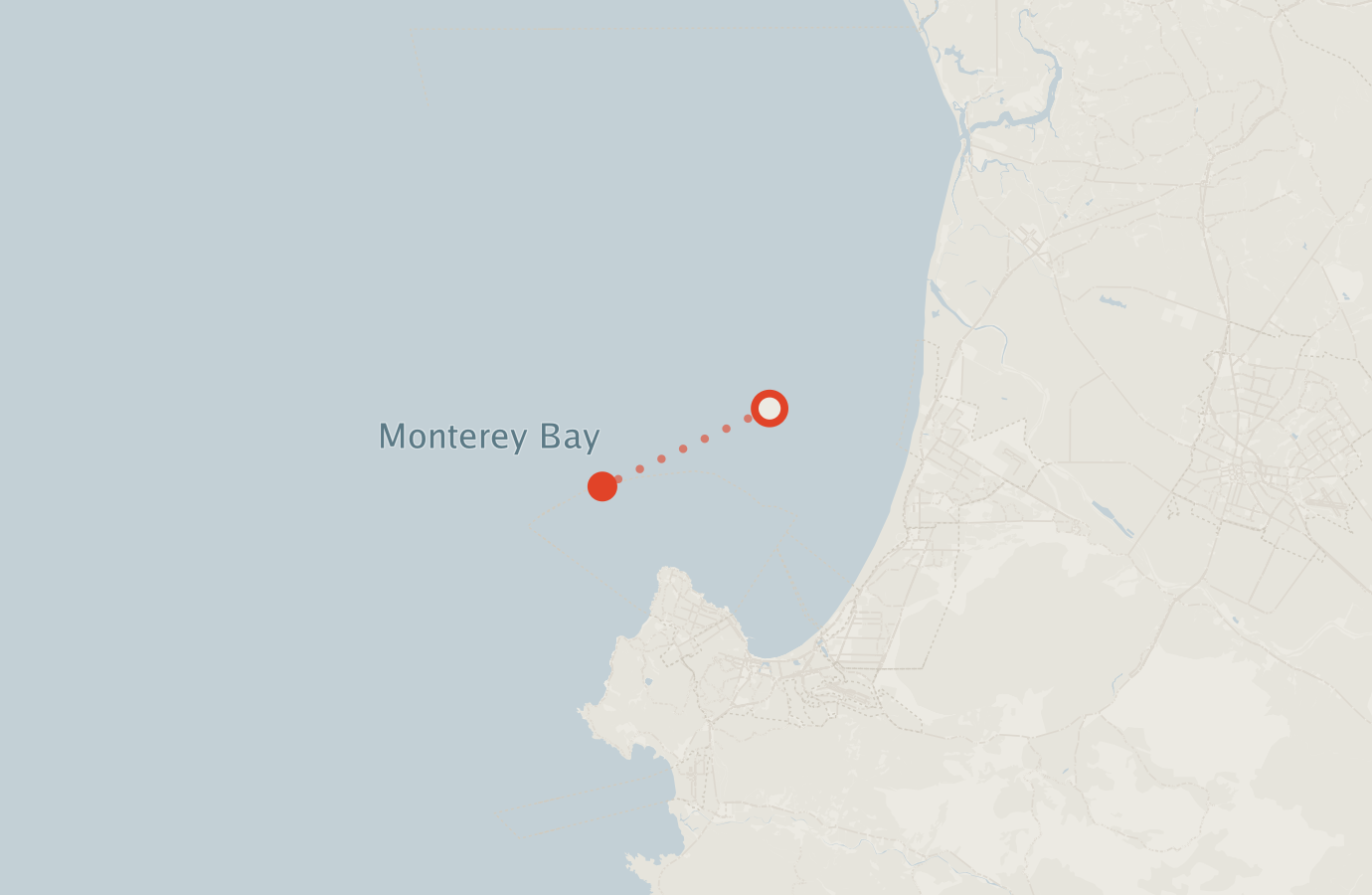 Activity map — real sighting points on an OpenStreetMap basemap