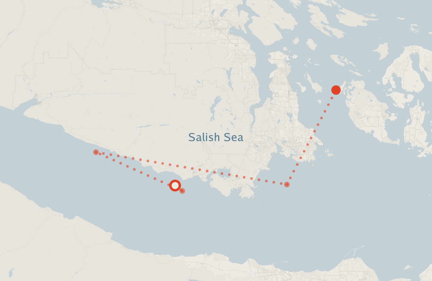 Activity map — real sighting points on an OpenStreetMap basemap