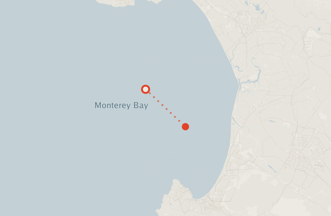 Activity map — real sighting points on an OpenStreetMap basemap