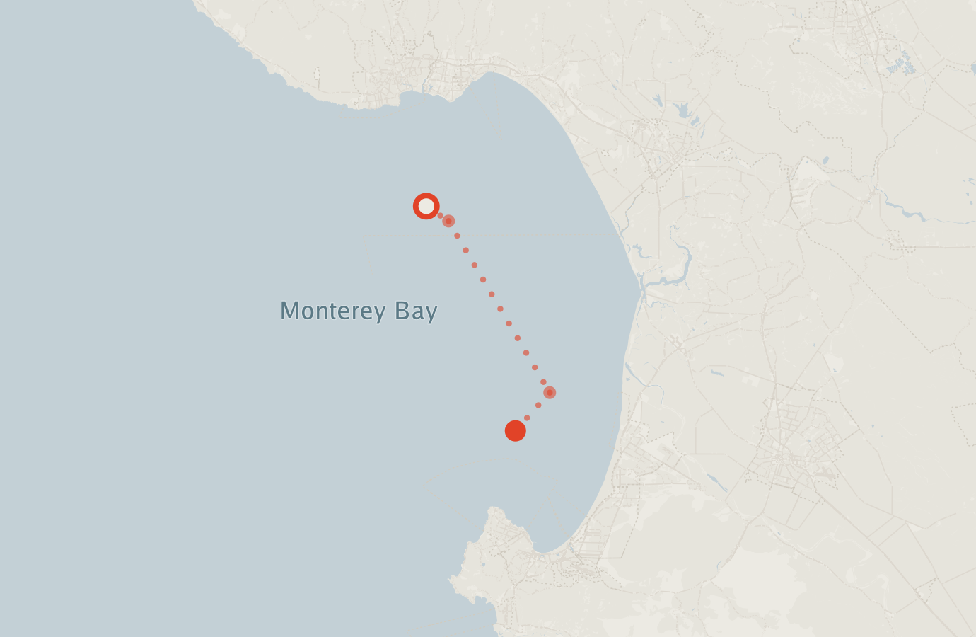 Activity map — real sighting points on an OpenStreetMap basemap