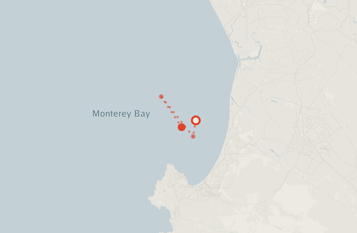 Activity map — real sighting points on an OpenStreetMap basemap
