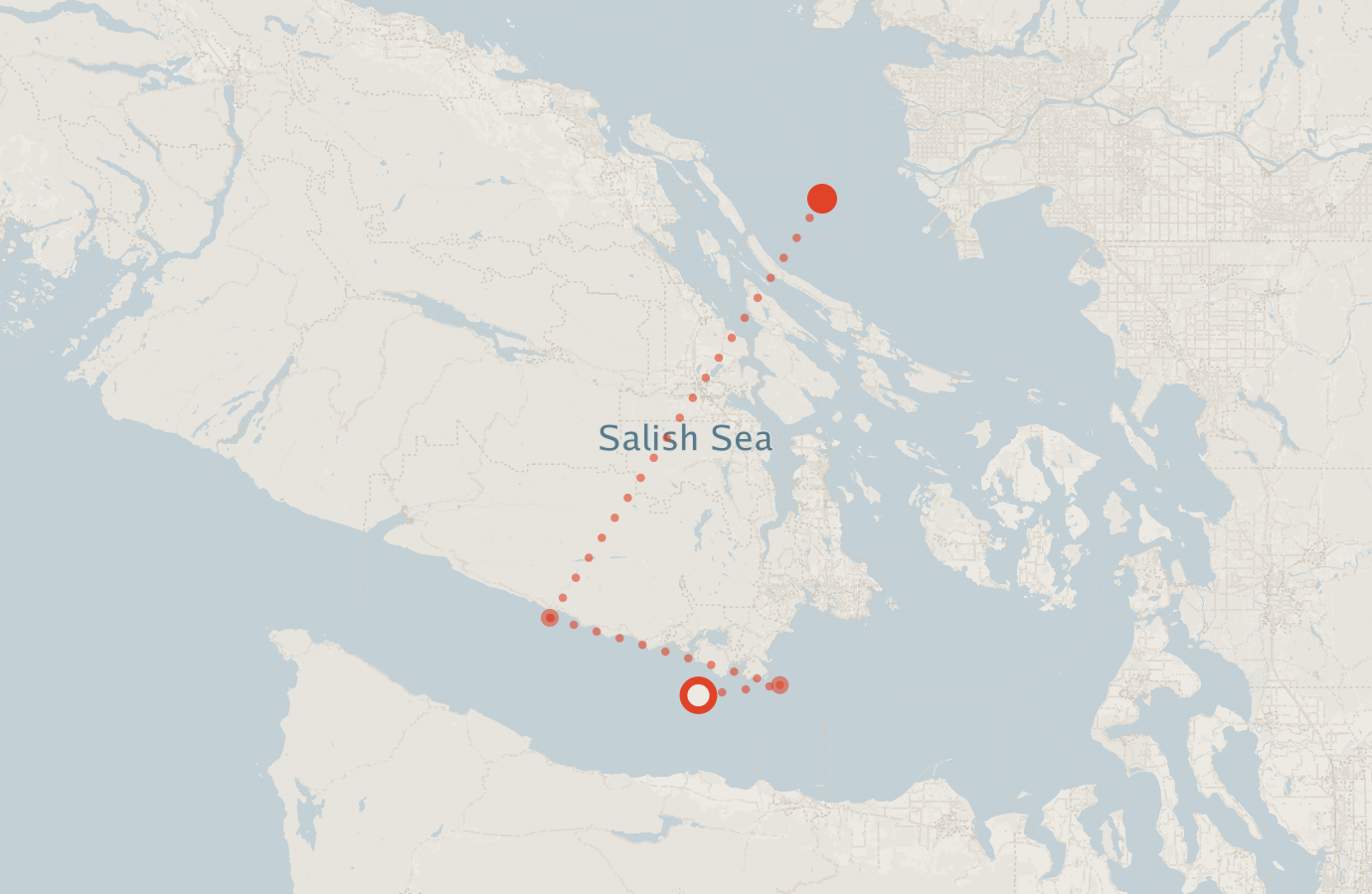 Activity map — real sighting points on an OpenStreetMap basemap