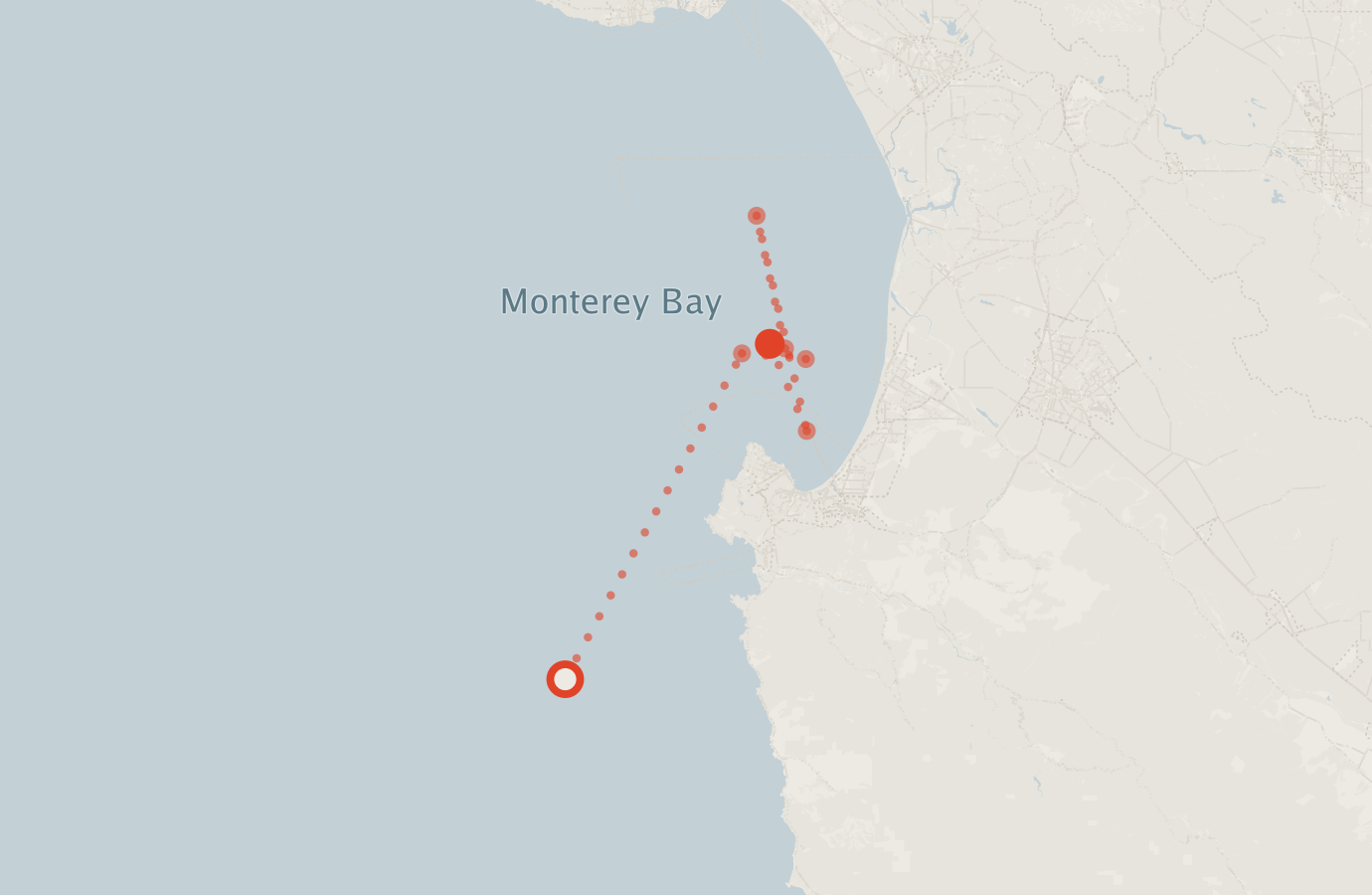 Activity map — real sighting points on an OpenStreetMap basemap