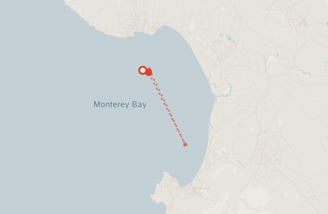Activity map — real sighting points on an OpenStreetMap basemap