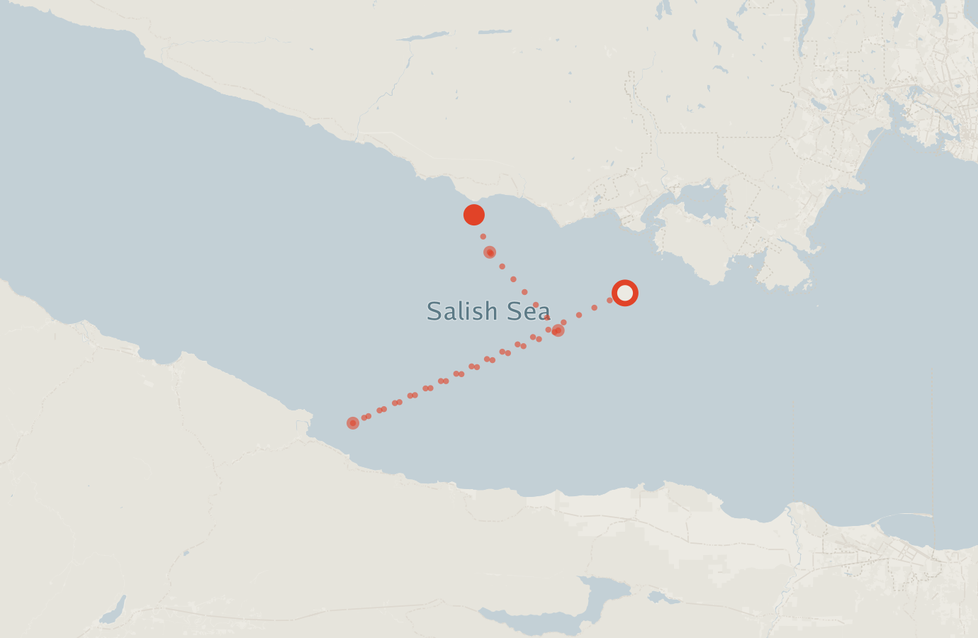 Activity map — real sighting points on an OpenStreetMap basemap
