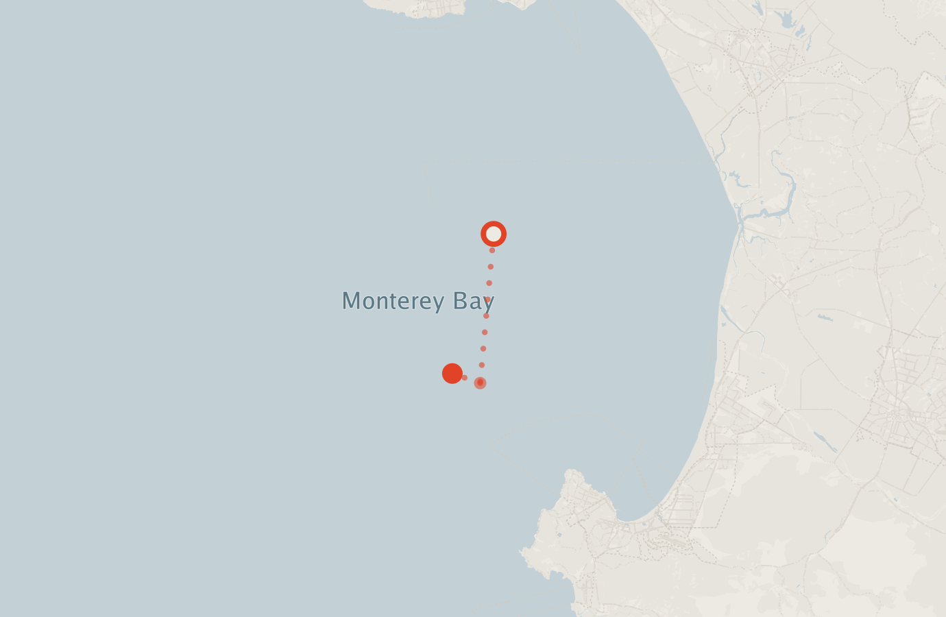 Activity map — real sighting points on an OpenStreetMap basemap