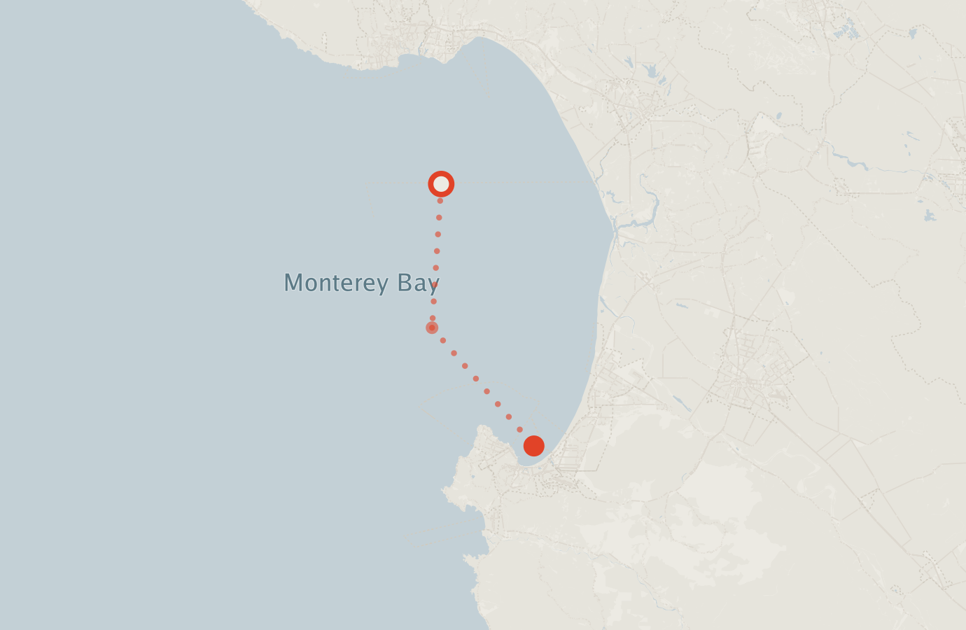 Activity map — real sighting points on an OpenStreetMap basemap