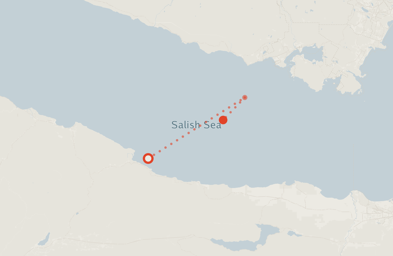 Activity map — real sighting points on an OpenStreetMap basemap