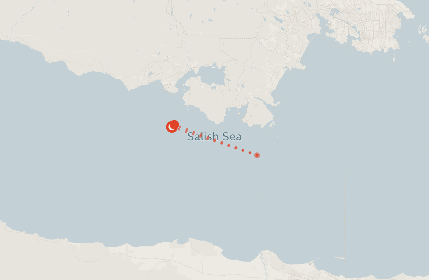 Activity map — real sighting points on an OpenStreetMap basemap
