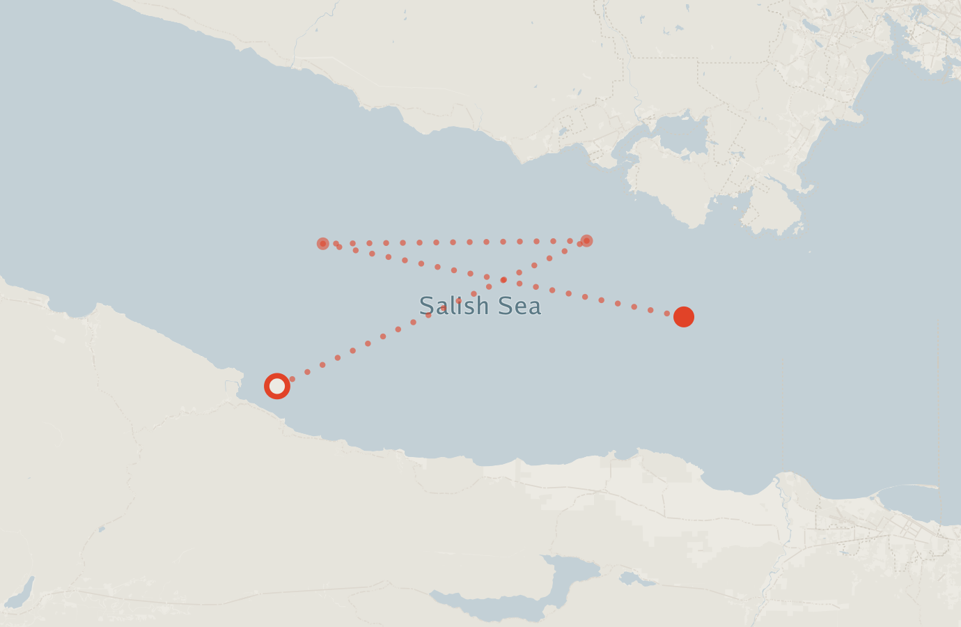 Activity map — real sighting points on an OpenStreetMap basemap