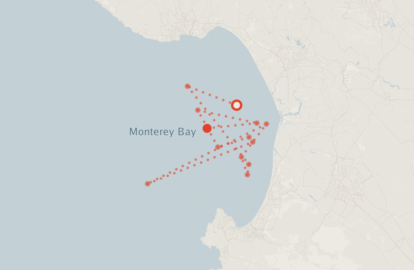 Activity map — real sighting points on an OpenStreetMap basemap