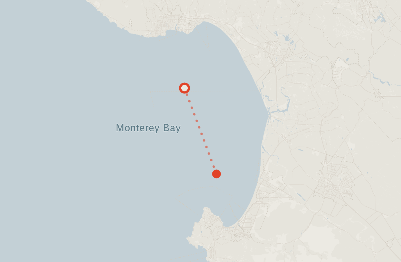 Activity map — real sighting points on an OpenStreetMap basemap