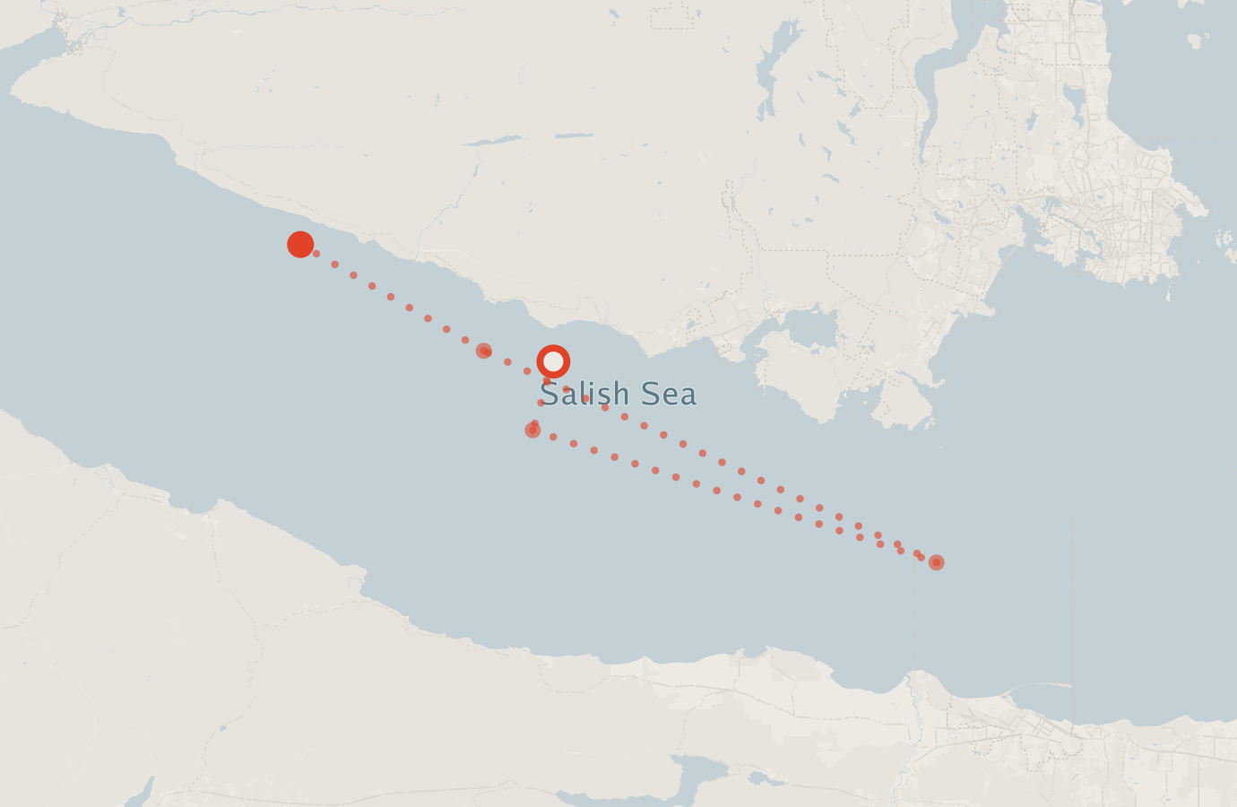 Activity map — real sighting points on an OpenStreetMap basemap
