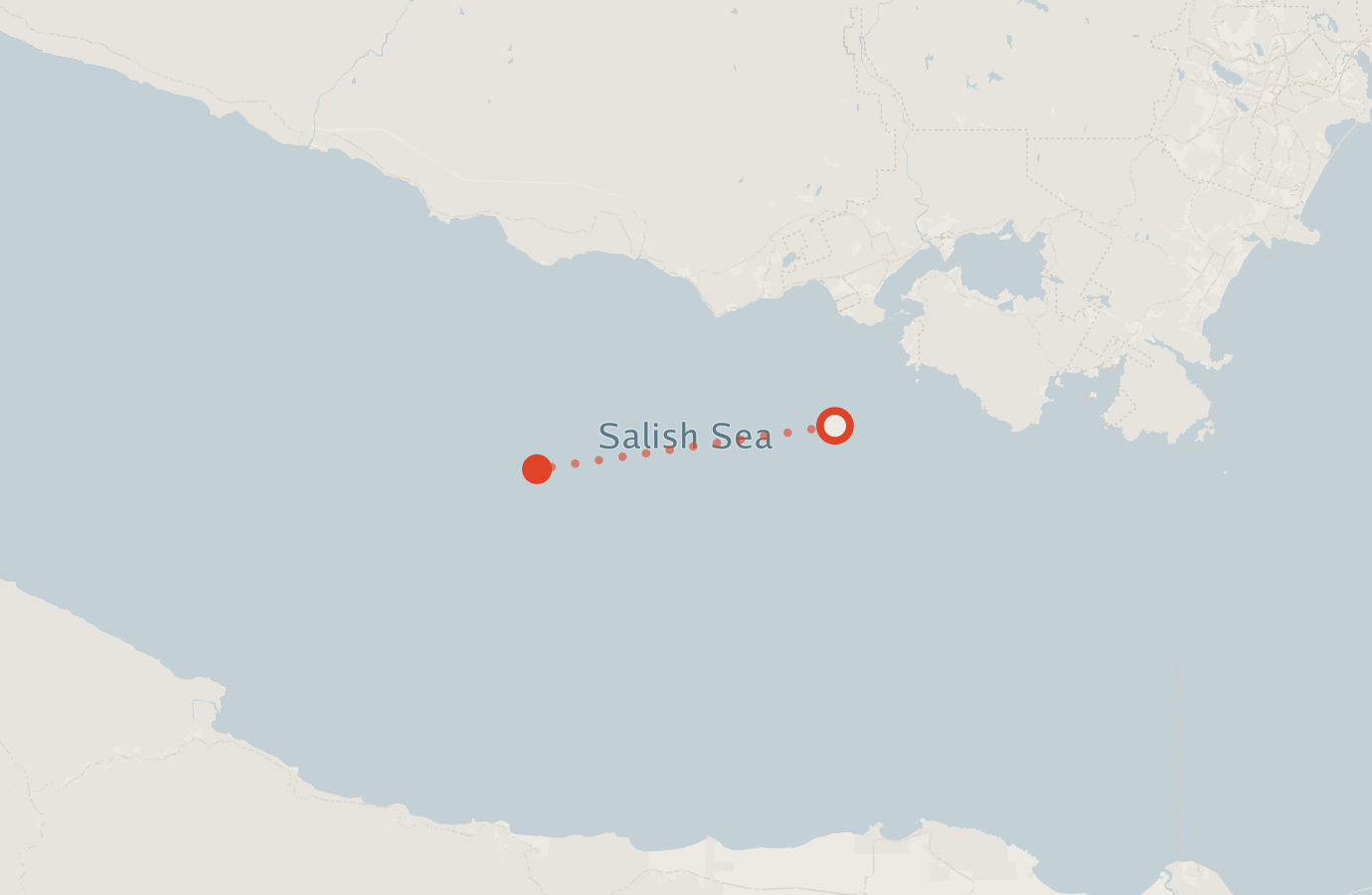 Activity map — real sighting points on an OpenStreetMap basemap
