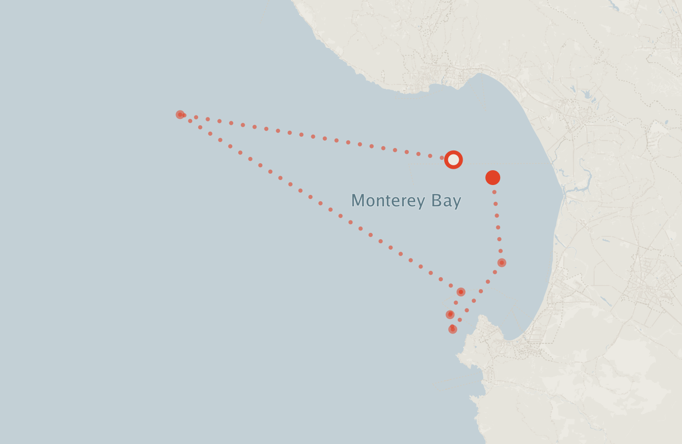 Activity map — real sighting points on an OpenStreetMap basemap