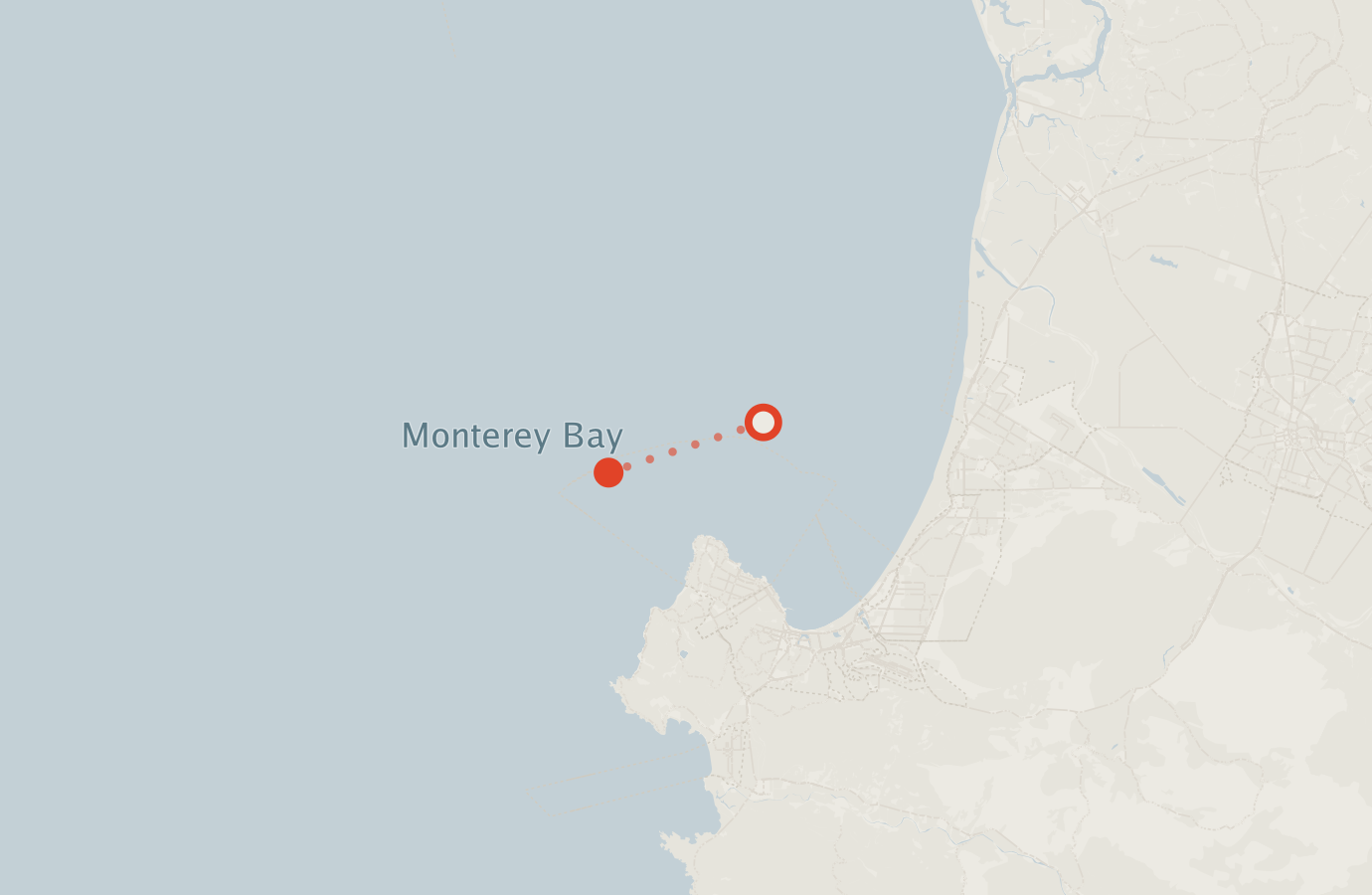 Activity map — real sighting points on an OpenStreetMap basemap