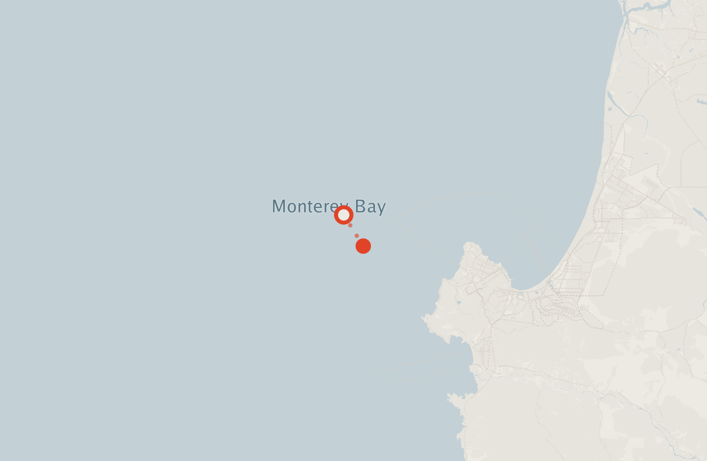 Activity map — real sighting points on an OpenStreetMap basemap